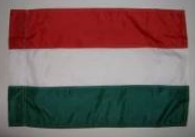 Nemzeti színű zászló 15x25 cm,40cm-es műanyag fehér pálcával Nemzeti színű zászló 15x25 cm,40cm-es műanyag fehér pálcával