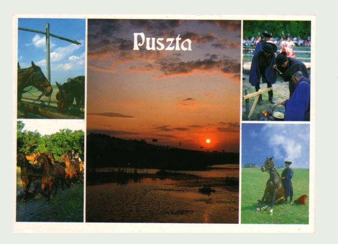 Puszta képeslap (14,5X10,5cm) Puszta képeslap (14,5X10,5cm)