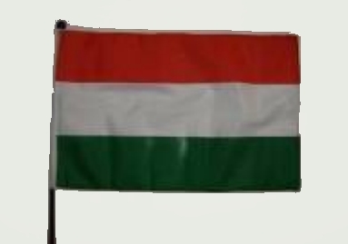 Nemzeti színű zászló rúddal (45x28 cm) Nemzeti színű zászló rúddal (45x28 cm)