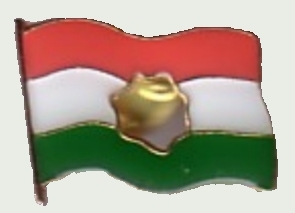 Lyukas zászló jelvény Lyukas zászló jelvény