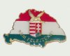 Nagy-Magyarországos zászlós turul címeres jelvény (39x24 mm Nagy-Magyarországos zászlós turul címeres jelvény (39x24 mm