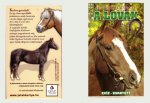 A lovak (Földünk állatvilága sorozat)
