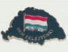 Nagy-Magyarországos zöld lobogós jelvény (39x24 mm) Nagy-Magyarországos zöld lobogós jelvény (39x24 mm)