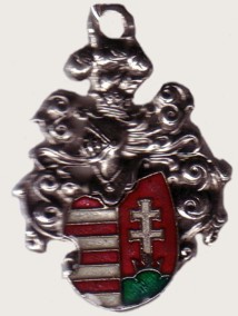 Cir�d�s c�mer nyakl�nc bőrsz�jjal (4*3,5cm)